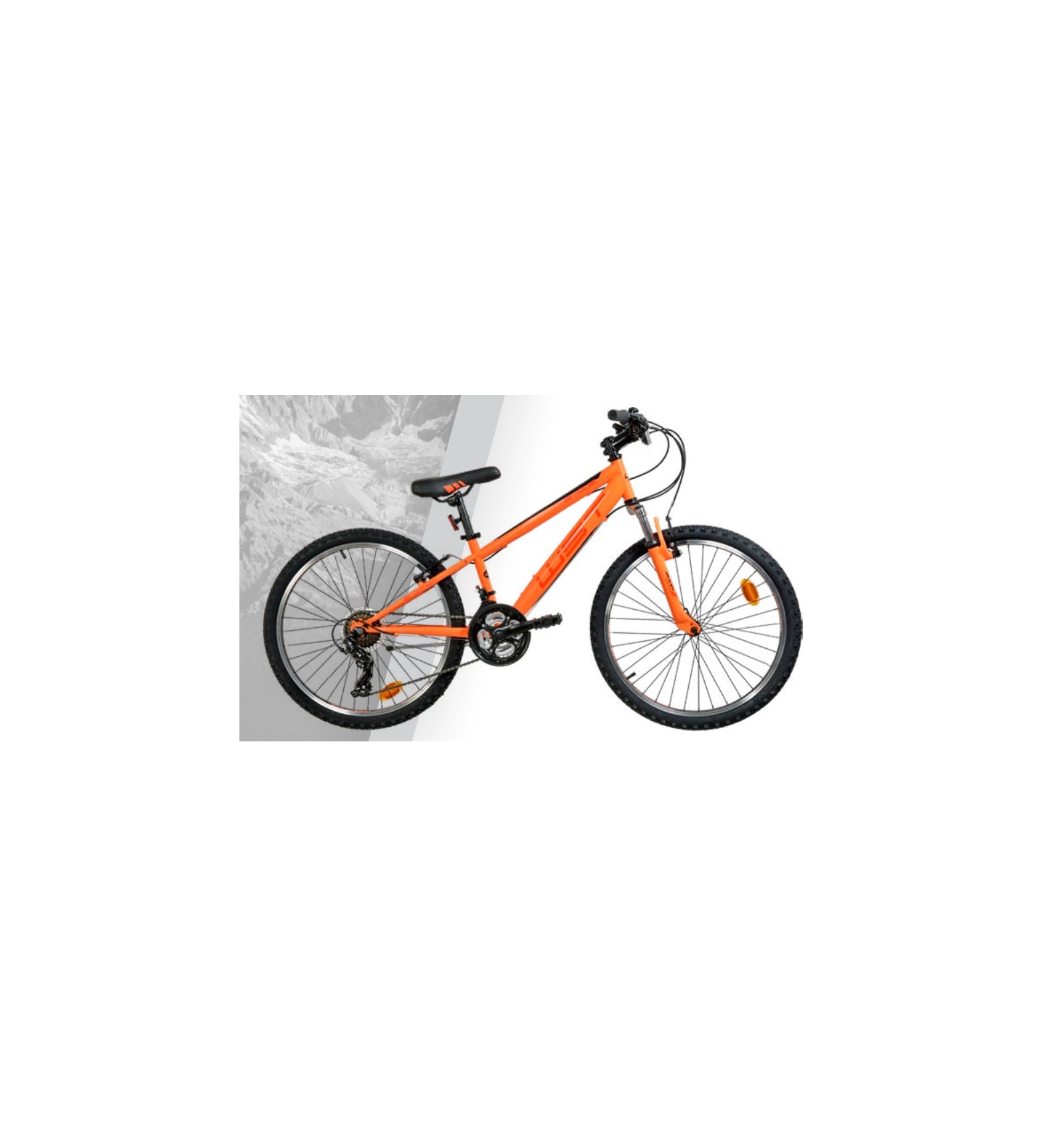 BICICLETA NARANJA