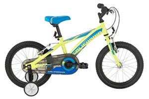bicicleta BH infantil